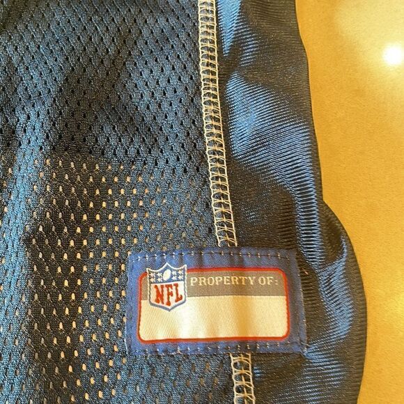 Seattle Seahawks Nfl dog shirt see measurements mesh will keep pets cool. - Picture 5 of 7